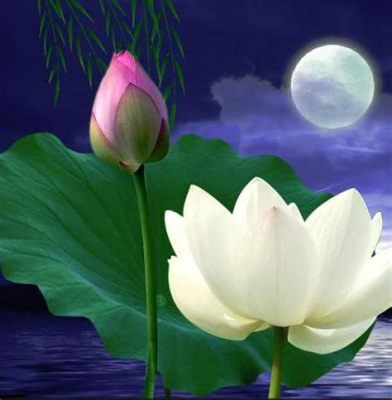 Lotus by Moonlight - An Exquisite Rendering of Tranquility and Symbolic Depth!